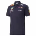 Men Oracle Red Bull Racing 2022 Team Polo